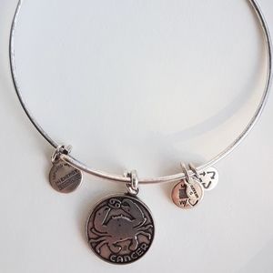 Alex and Ani Crab Cancer Horoscope Bracelet